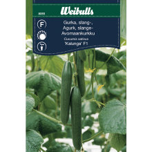 Slangeagurk 'Kalanga F1'